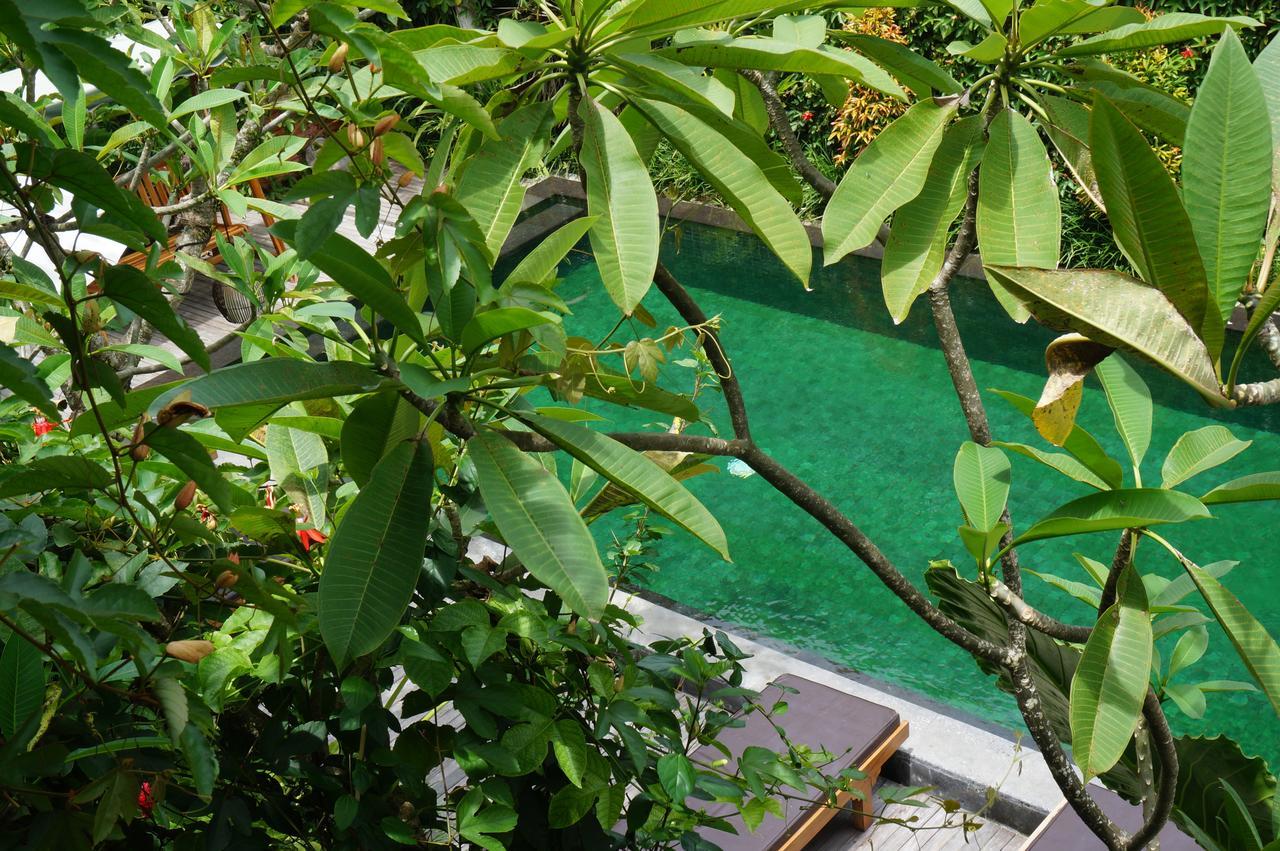 Sapodilla Ubud Екстериор снимка