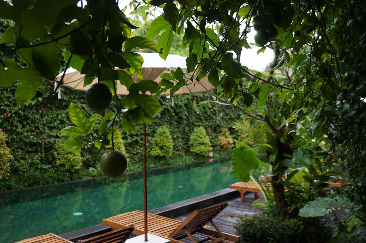 Sapodilla Ubud Екстериор снимка